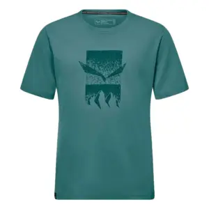 Salewa Eagle 3cime T-shirt Met Korte Mouwen Willow