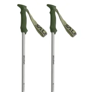 Salewa Re Stokken Cactus