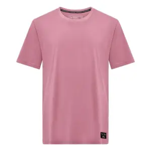 Salewa Eagle Logo Patch T-shirt Met Korte Mouwen Zephyr