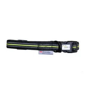 Axaeco 4 Season Hondenhalsband Zwart