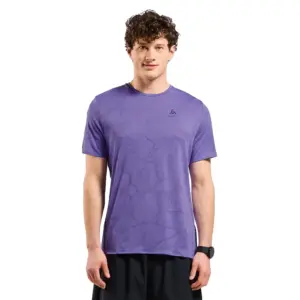 Odlo Zeroweight Engineered Chill-tec T-shirt Met Korte Mouwen Afterparty Melange