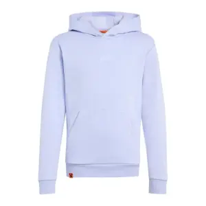 Adidas Minecraft Terrex Hoodie Violet Tone