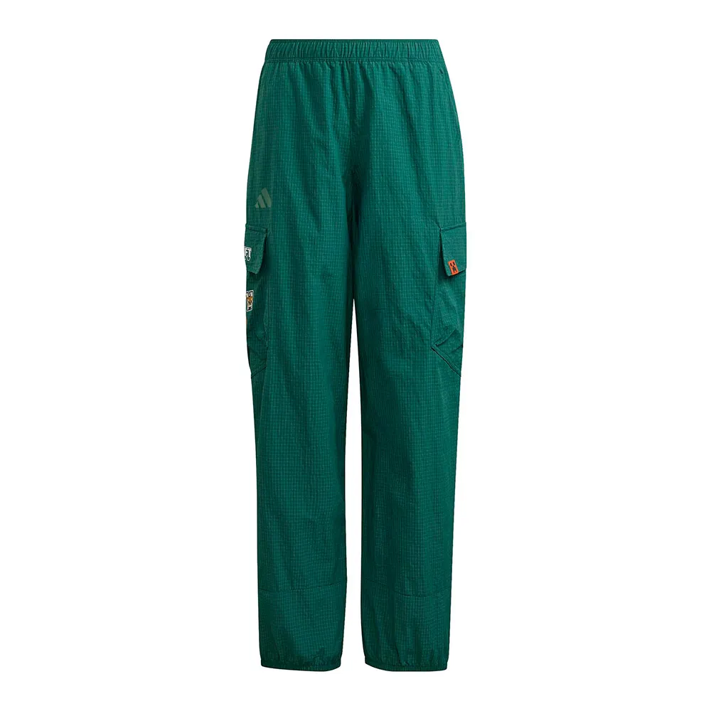 Adidas Minecraft Terrex Clima365 Cargo Broek Groen