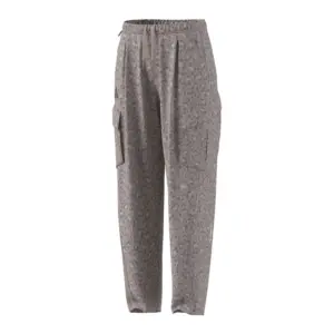 Adidas Terrex Xploric Clima365 Cargo Broek Bruin