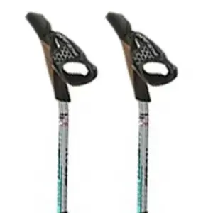 Fizan Carbon Pro Impulse Stokken Grijs