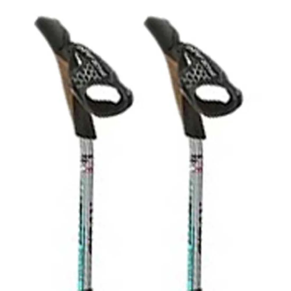 Fizan Carbon Pro Impulse Stokken Grijs