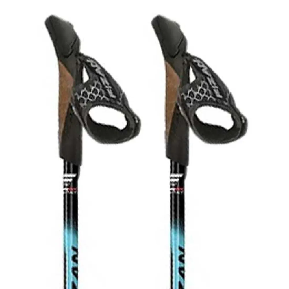 Fizan Speed Stokken Blauw
