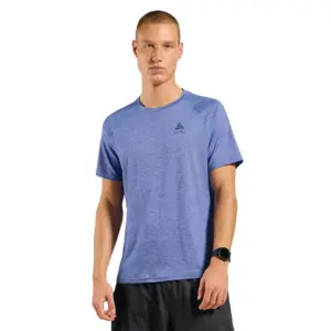 Odlo X-alp Pw 115 T-shirt Met Korte Mouwen Blauw