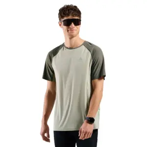 Odlo X-alp Trail T-shirt Met Korte Mouwen Grijs
