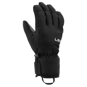 Leki Alpino Bird Gore-tex® Handschoenen Zwart