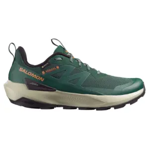 Salomon Elixir Activ Gore-tex® Wandelschoenen Groen