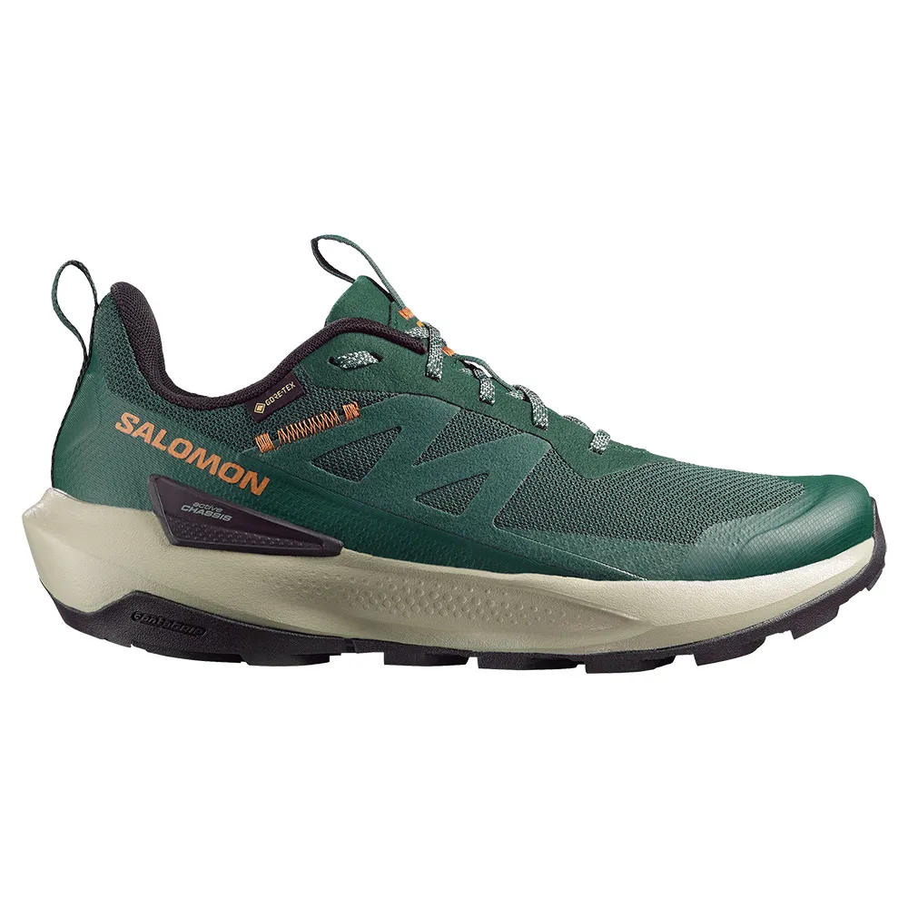 Salomon Elixir Activ Gore-tex® Wandelschoenen Groen