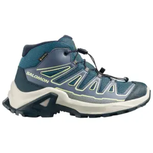 Salomon X Ultra Mid Gore-tex® Wandelschoenen Grisaille / Spellbound / Butterfly