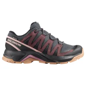 Salomon X-adventure Recon Gore-tex® Wandelschoenen Grijs