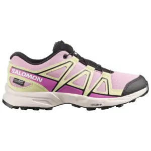 Salomon Speedcross Wp Gore-tex® Wandelschoenen Zwart
