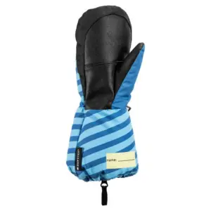 Leki Alpino Little Paw Gore-tex® Handschoenen Blauw