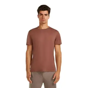 Icebreaker Merino Blend Core T-shirt Met Korte Mouwen Carb
