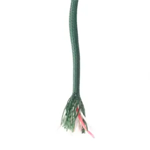 Lifesystems Tinder Paracord 7core-550lb Touw Olijf