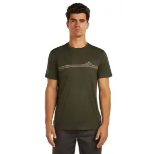 Icebreaker Merino 150 Tech Lite Range Stripes T-shirt Met Korte Mouwen Dark Loden