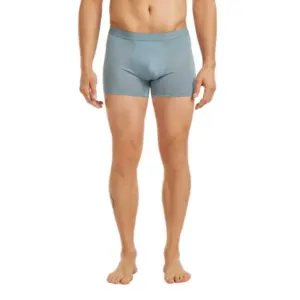 Icebreaker Merino 125 Cool-lite Anatomica Boxers Blauw
