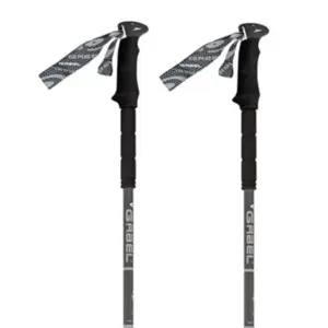 Gabel Escape Carbon Tour 2023 Stokken Grijs