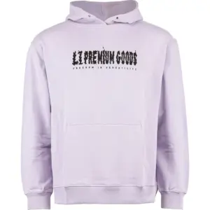 Nitro L1 Blazed Po Hoodie Haze