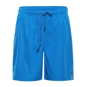 Alpine Pro Jeran 2 Korte Broek Blauw