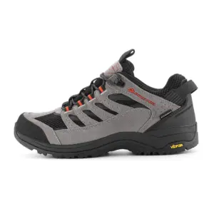 Alpine Pro Rodane Wandelschoenen Grijs