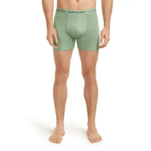 Icebreaker Merino 150 Anatomica Boxers Sea Glass