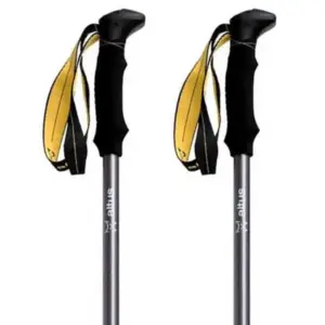 Altus Roble K30 Stokken Zilver
