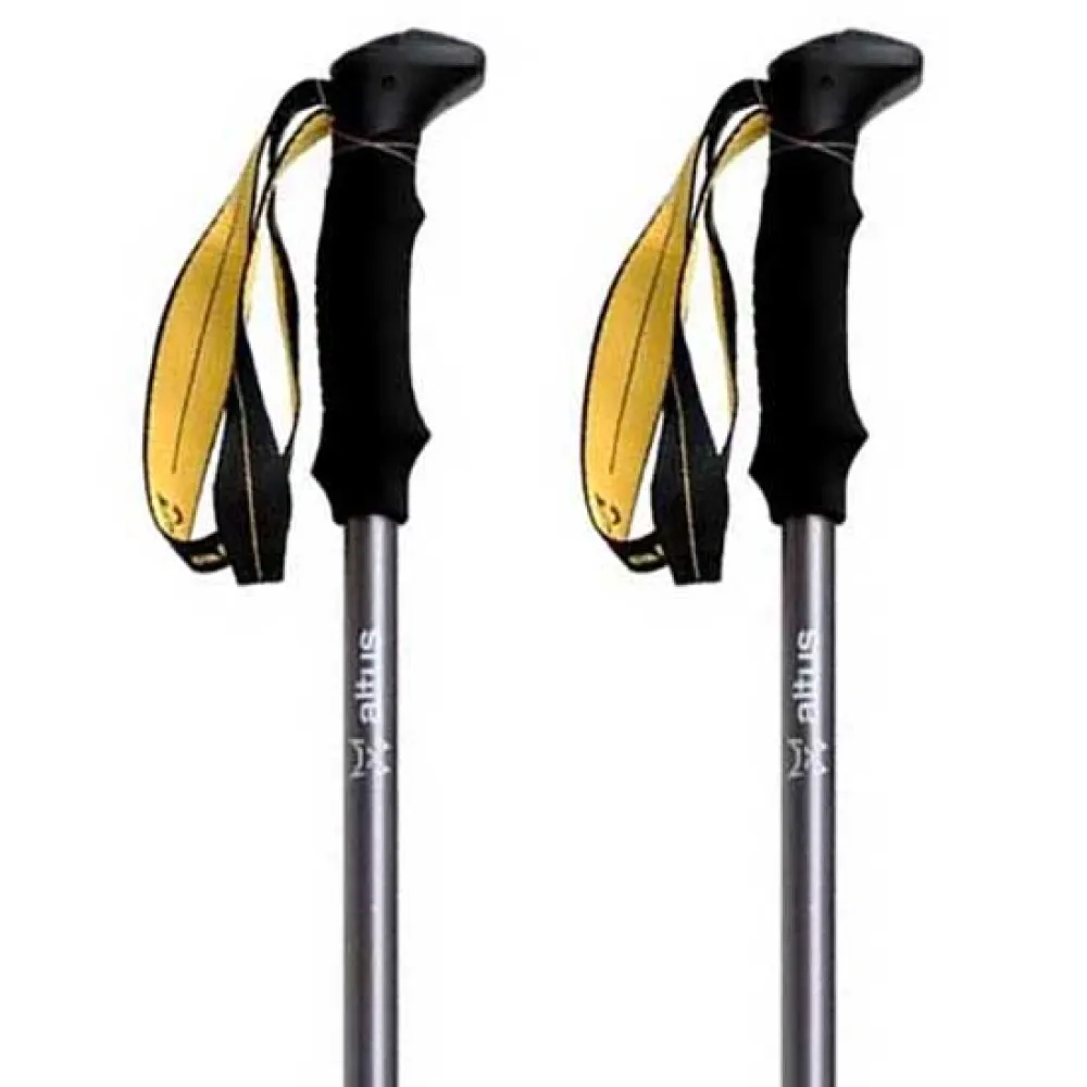 Altus Roble K30 Stokken Zilver