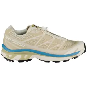 Salomon Xt-6 Shadow Wandelschoenen Vanilla Ice / Eucalyptus / Niagara