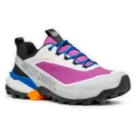 Orchid