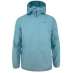 Bluemist