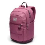 Antique Mauve