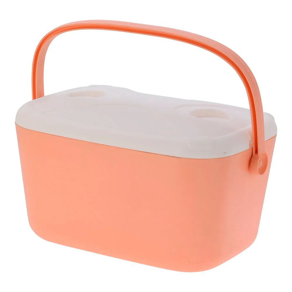Basics Harde Draagbare Koeler 20l Roze