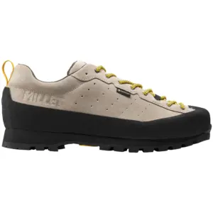 Millet Friction Eu Gore-tex® Approachschoenen Rope