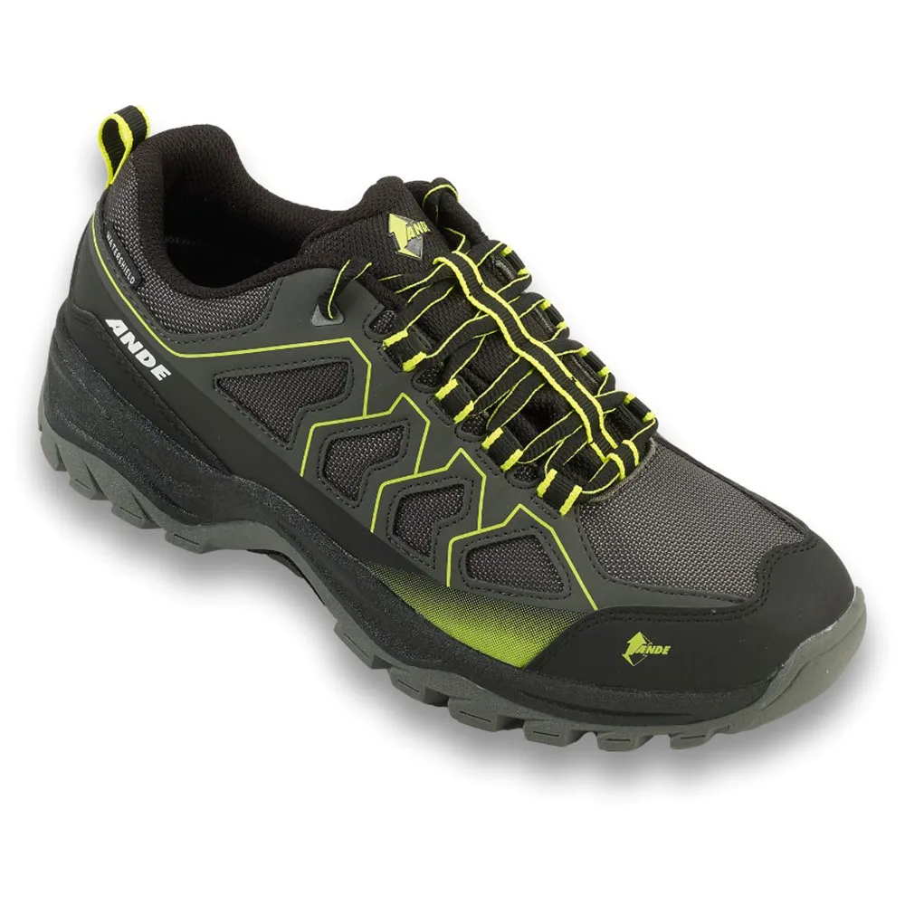 Ande Cobra Low Wp Wandelschoenen Antraciet