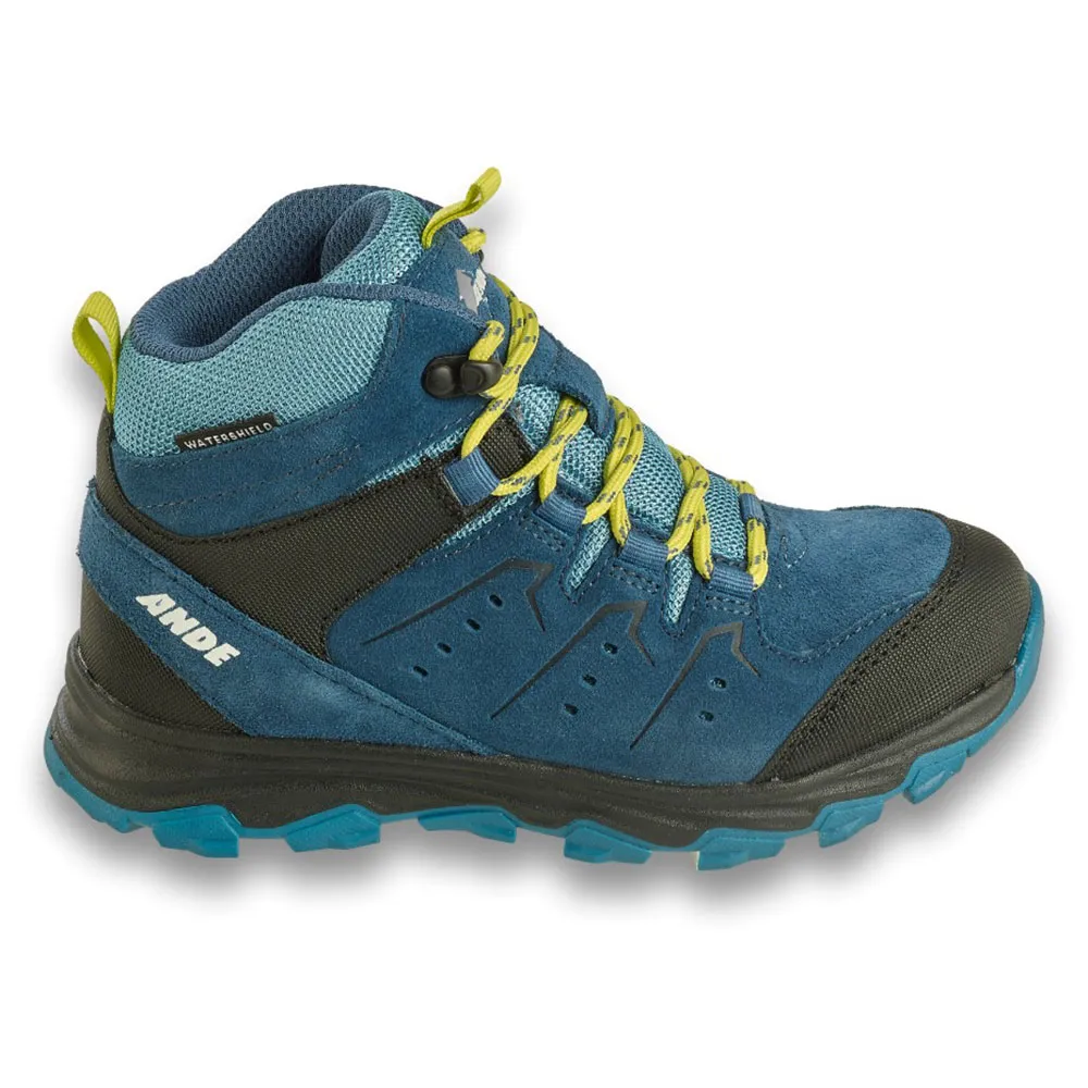 Ande Tonale Wandelschoenen Blauw