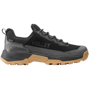 Millet Ubic Low Gore-tex® Wandelschoenen Zwart