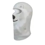 Bear Cloud