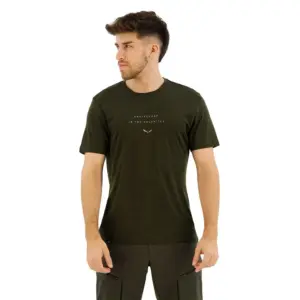 Salewa Eagle Eitd Merino T-shirt Met Korte Mouwen Olijf