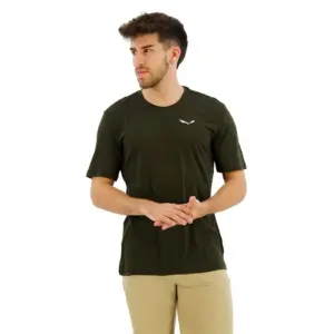 Salewa Eagle Minilogo Merino T-shirt Met Korte Mouwen Olijf