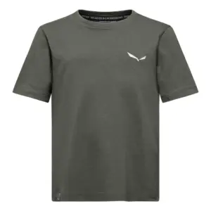 Salewa Graphic T-shirt Met Korte Mouwen Groen