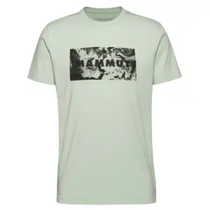 Mammut Trovat Logo T-shirt Met Korte Mouwen Zilver