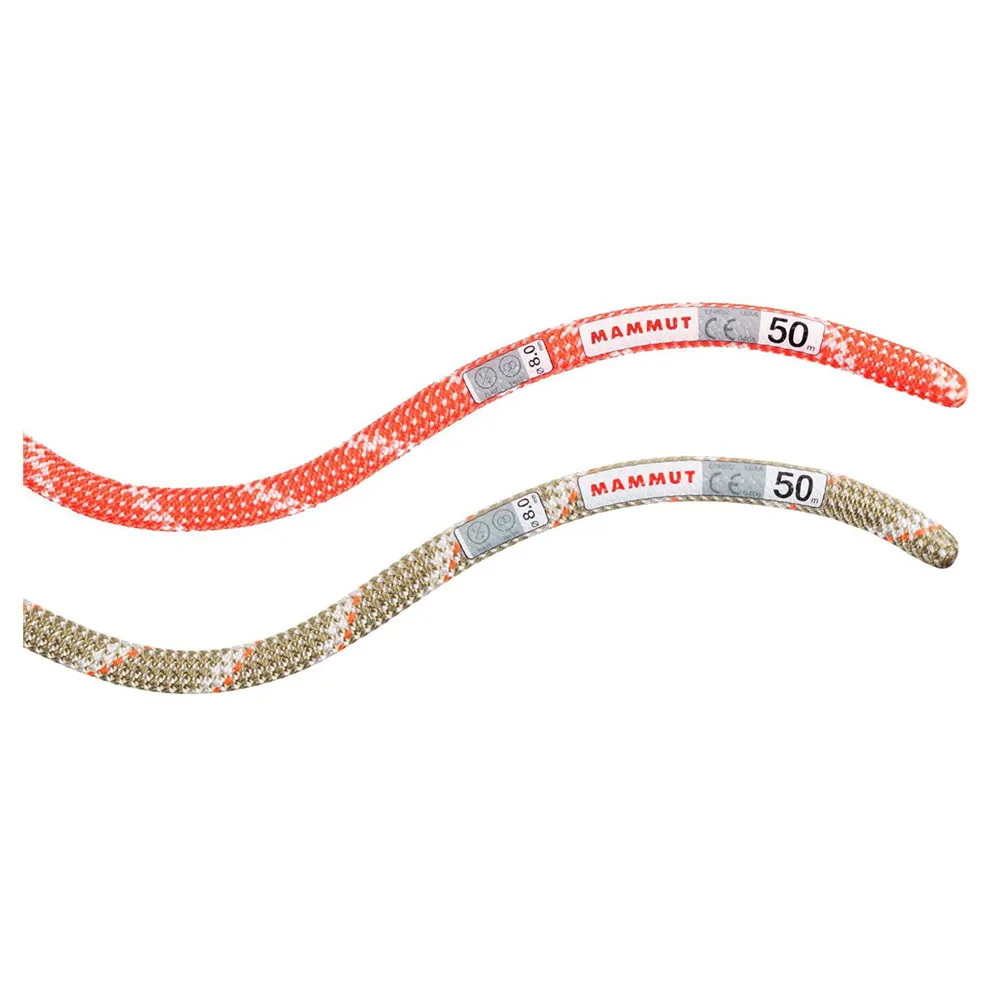 Mammut Alpine Classic 8 Mm Touw Multicolor