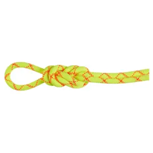 Mammut Alpine Core Protect 9.5 Mm Touw Oranje