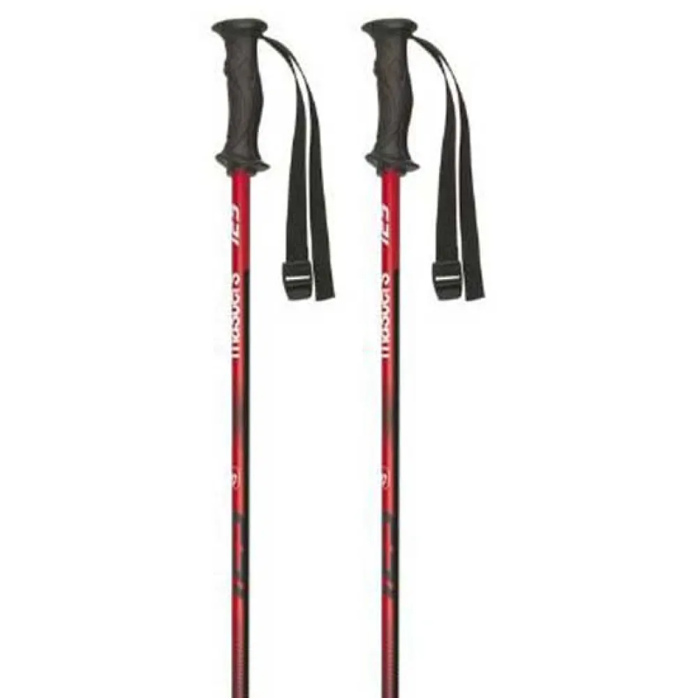 Masters Rental Carbon Stokken Multicolor