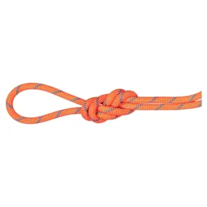 Mammut 7.5 Mm Alpine Sender Dry 50 M Touw Blauw