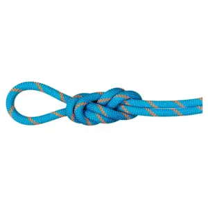 Mammut 8.7 Mm Alpine Sender Dry 70 M Touw Oranje